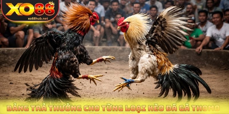Bảng trả thưởng cho từng loại kèo đá gà Tho mo