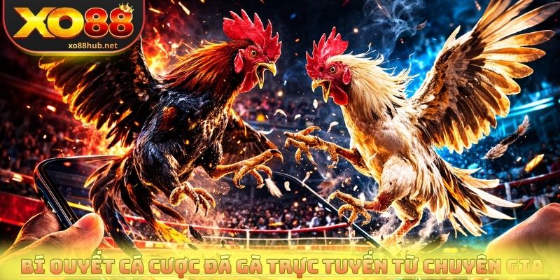 Đá Gà Trực Tuyến - Xem Live Đỉnh Cao, Cược Nhanh Dễ Dàng 4 Bí quyết cá cược đá gà trực tuyến từ chuyên gia chia sẻ