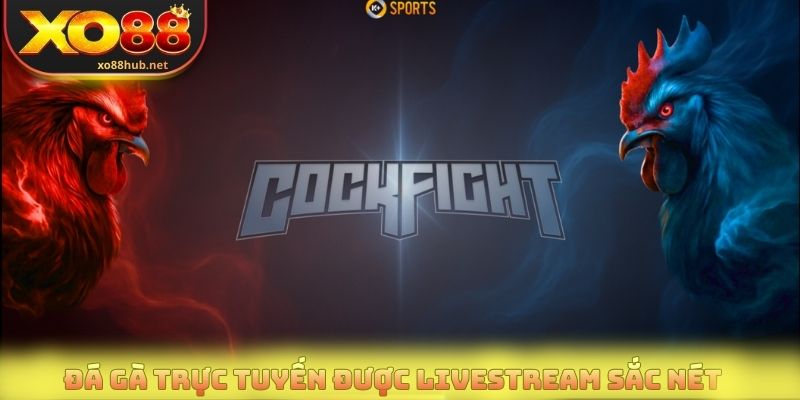 Đá Gà Trực Tuyến - Xem Live Đỉnh Cao, Cược Nhanh Dễ Dàng 2 Đá gà trực tuyến được livestream rõ ràng, sắc nét tại Xo88
