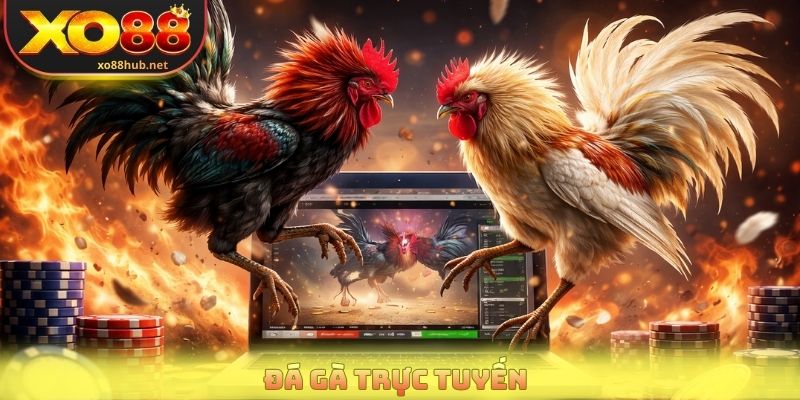 da ga truc tuyen